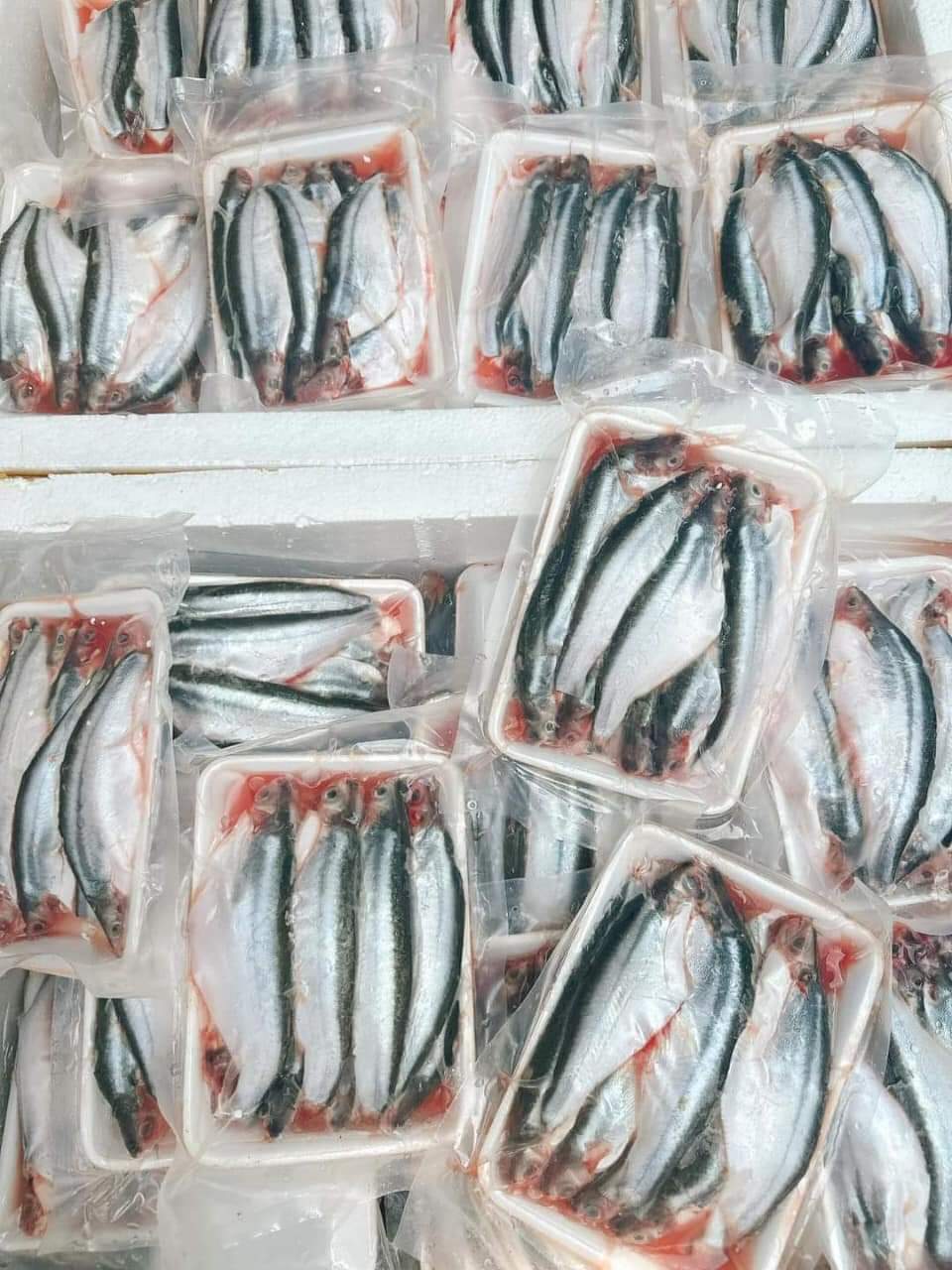 dịch vụ hút chân không thực phẩm