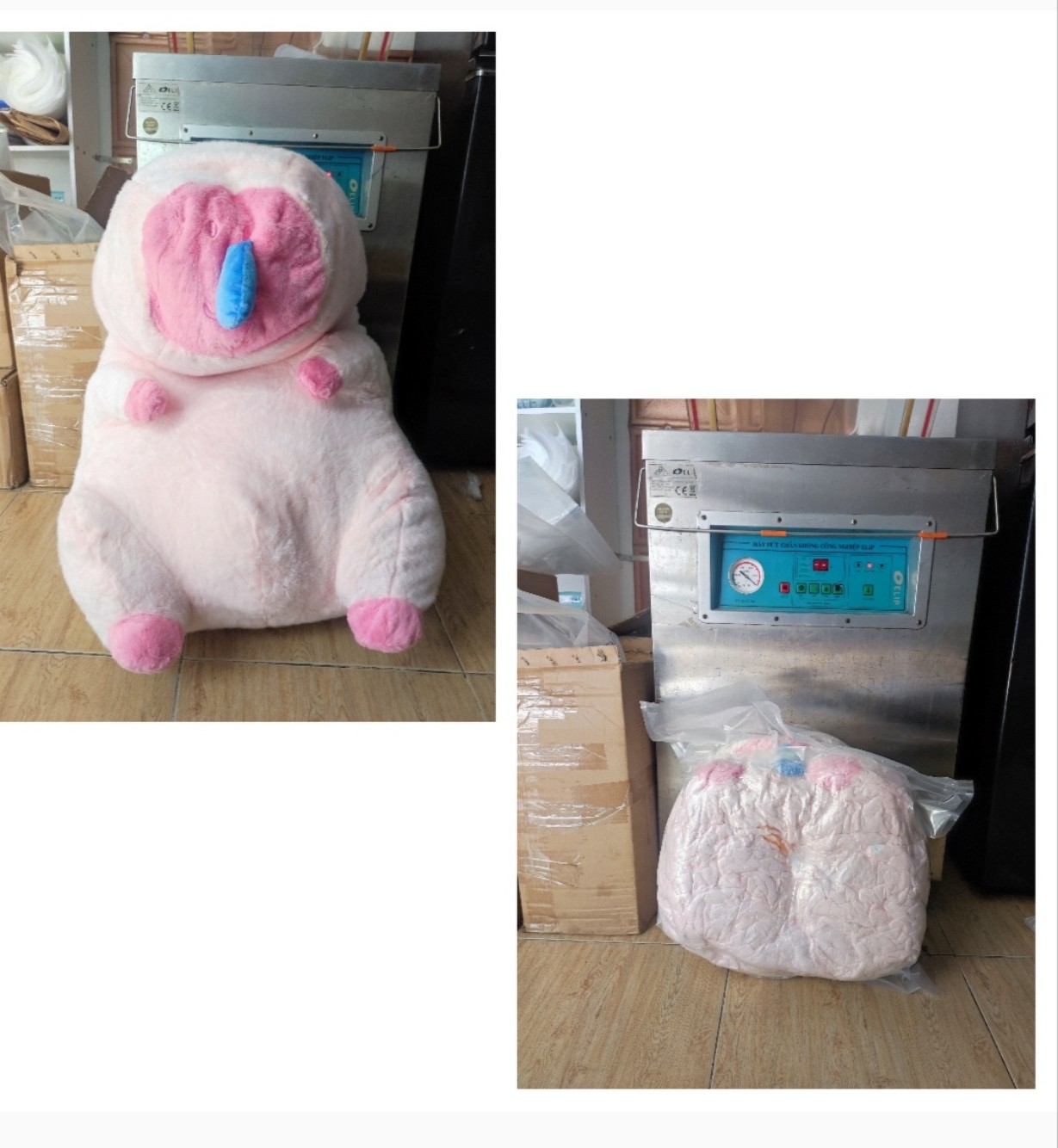 DỊCH VỤ HÚT CHÂN KHÔNG THÚ NHỒI BÔNG