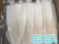 Hút chân không mực